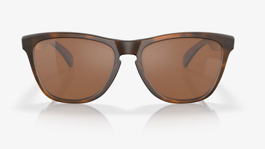 Oakley Frogskins Glasögon
