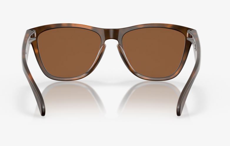 Oakley Frogskins Glasögon