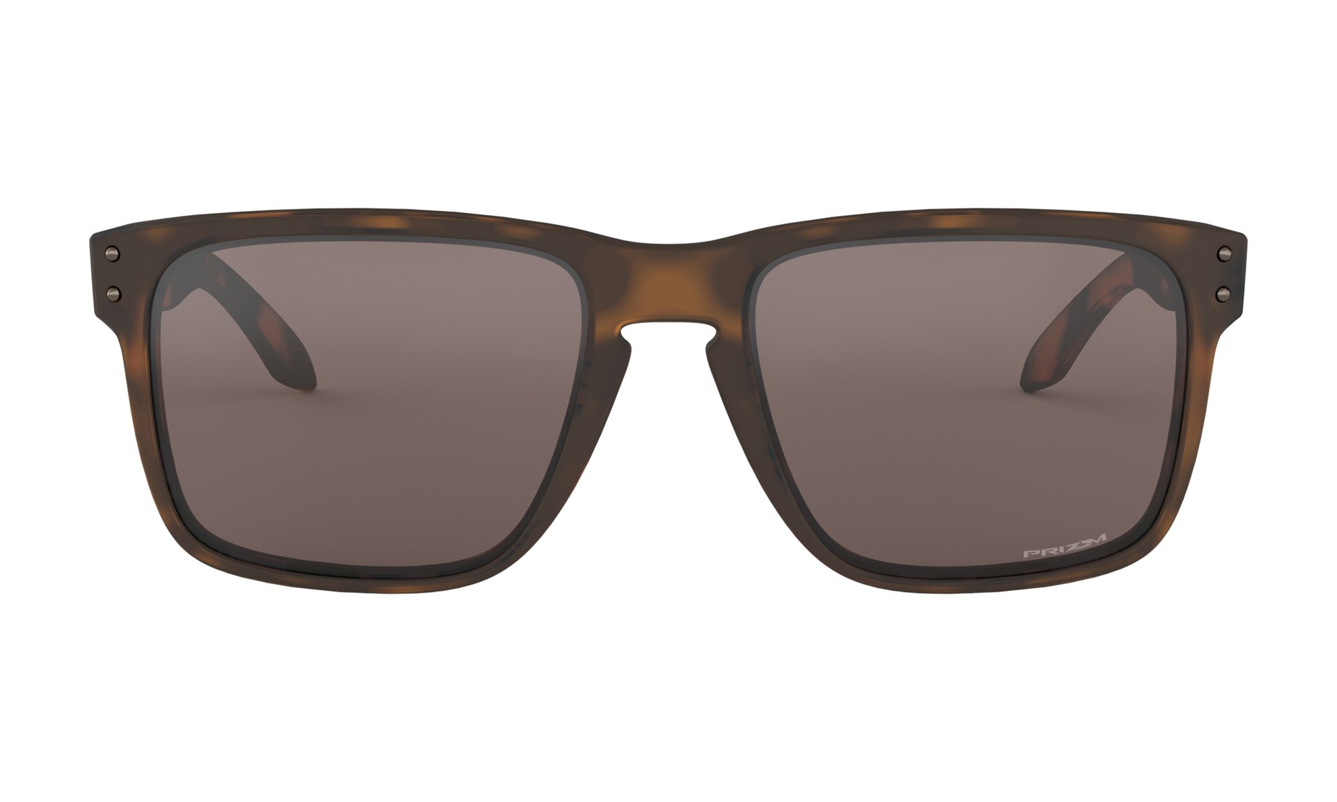 Oakley Holbrook XL Glasögon