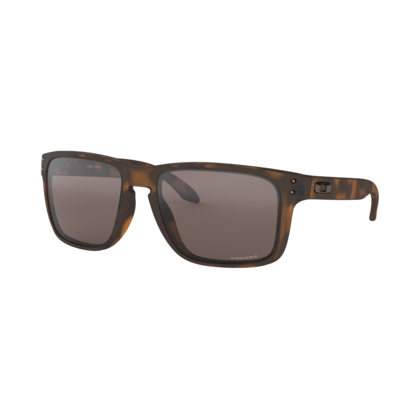 Oakley Holbrook XL Glasögon