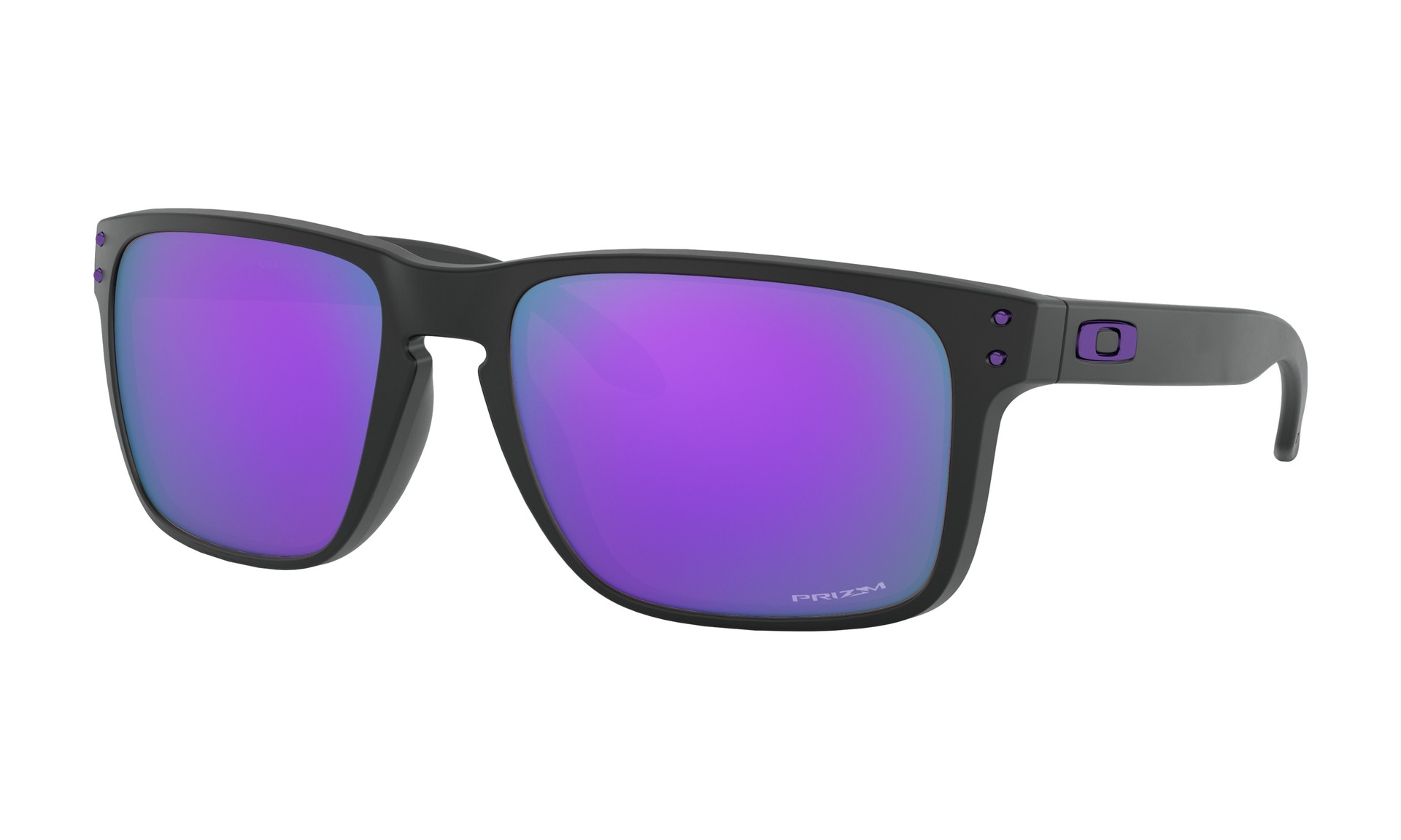 Oakley Holbrook XL Glasögon