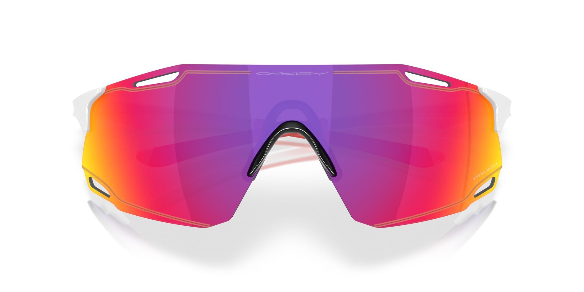 Oakley CYBR Dyno Glasögon
