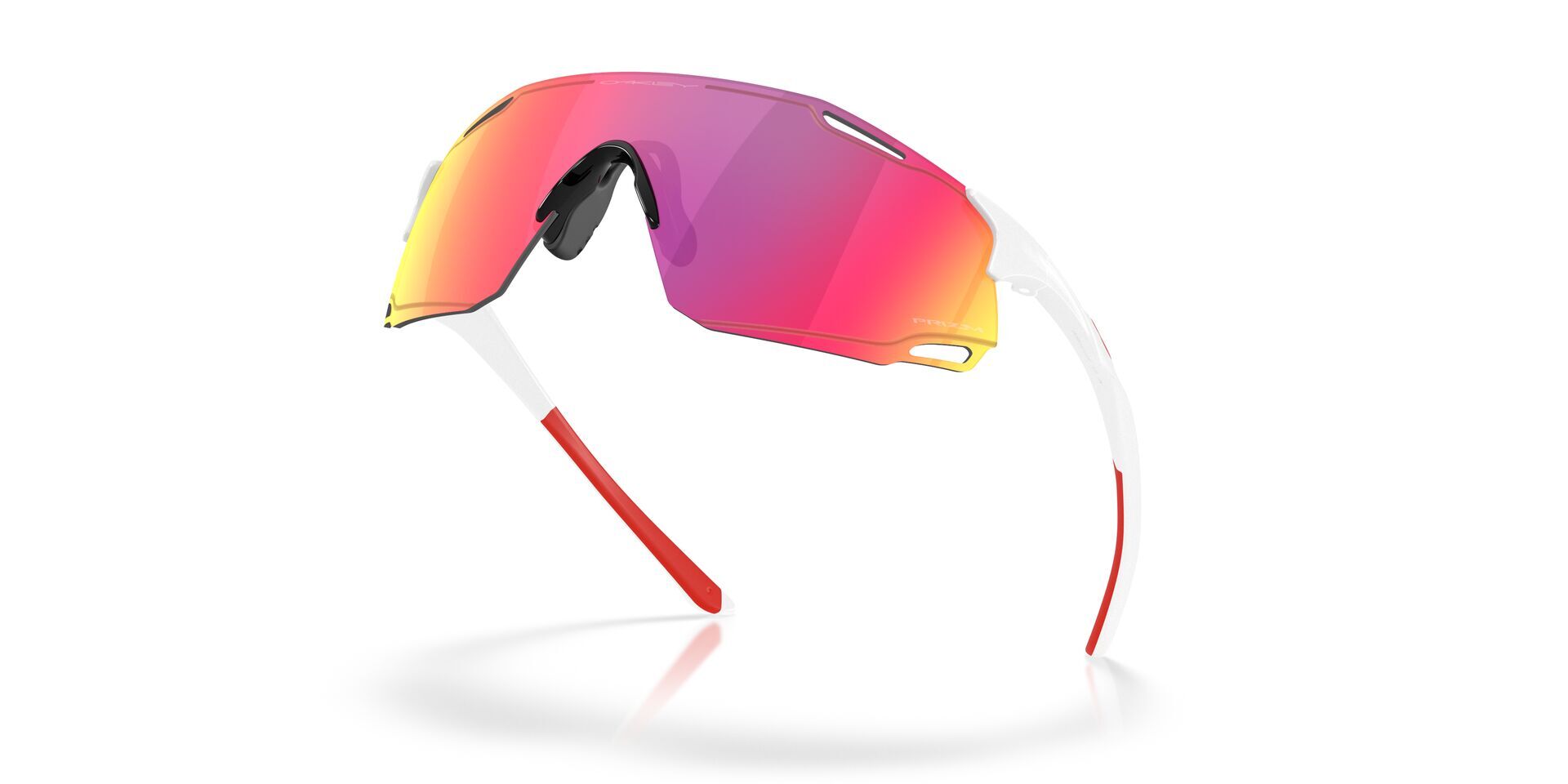 Oakley CYBR Dyno Glasögon