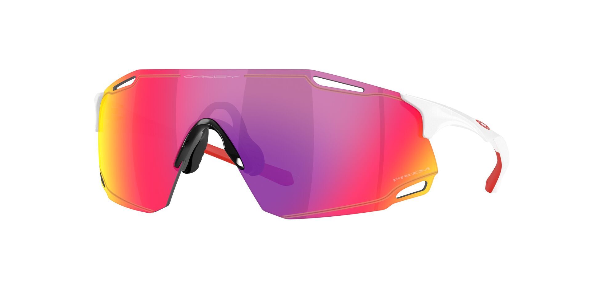 Oakley CYBR Dyno Glasögon