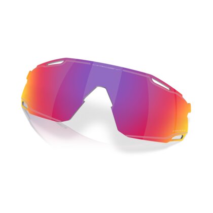 Oakley Cybr Dyno Lins