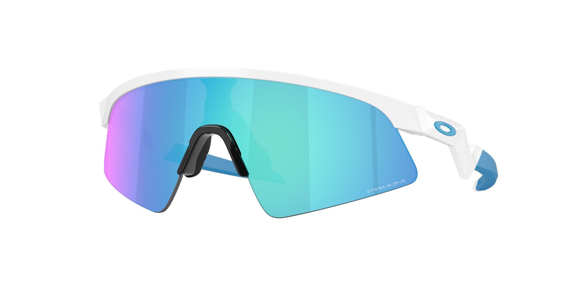Oakley Resistor Sweep Glasögon