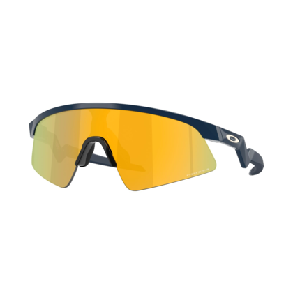 Oakley Resistor Sweep Glasögon