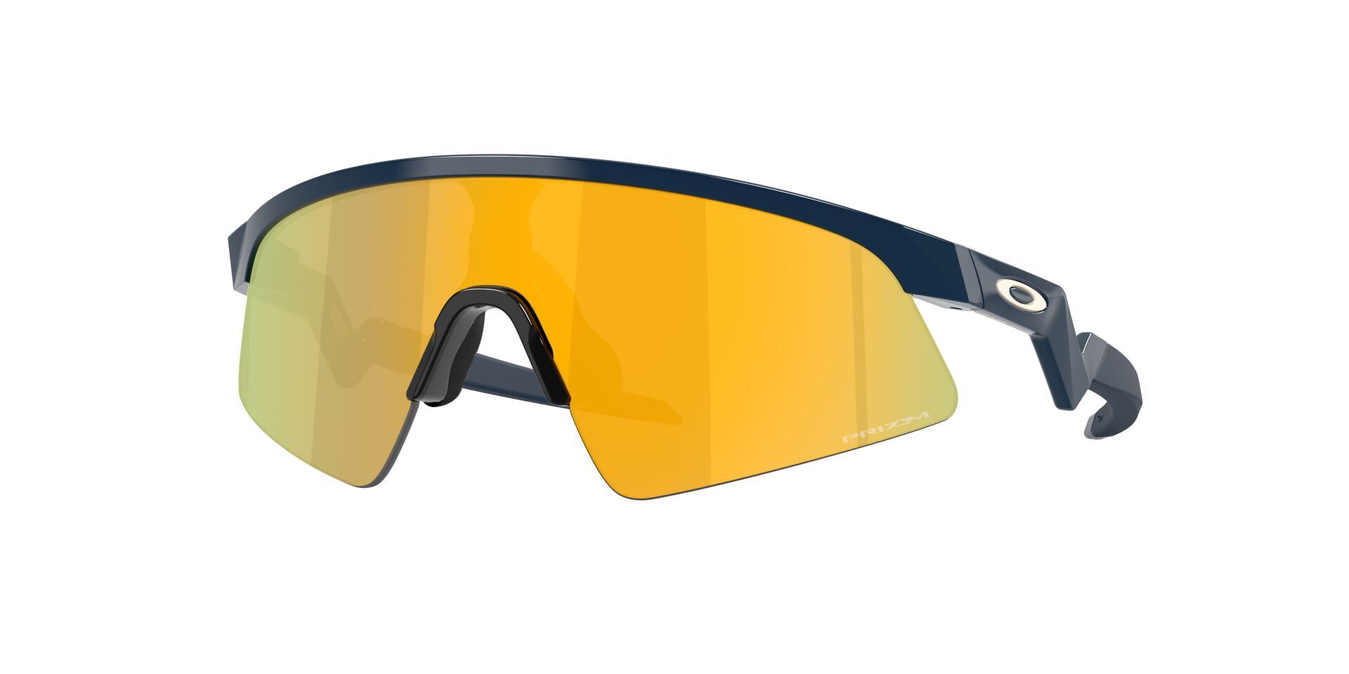 Oakley Resistor Sweep Glasögon