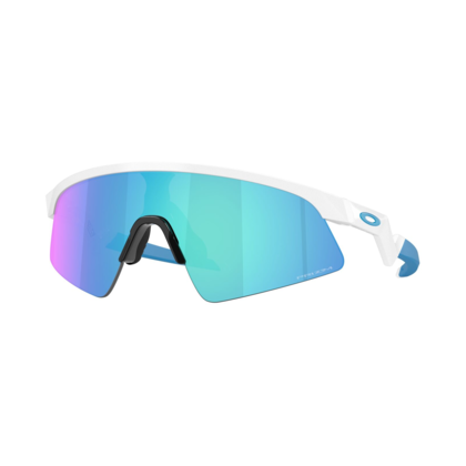 Oakley Resistor Sweep Glasögon