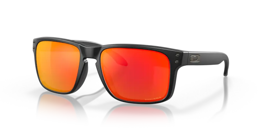 Oakley Holbrook Glasögon