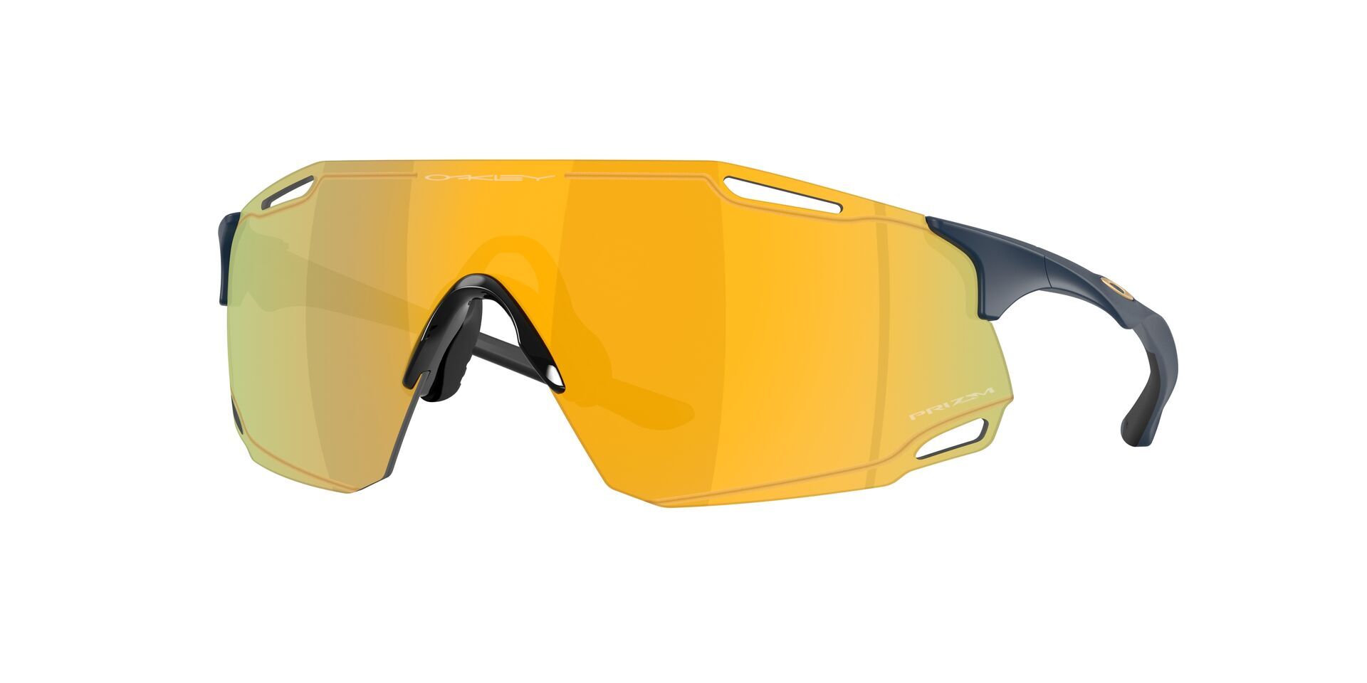 Oakley CYBR Dyno Glasögon