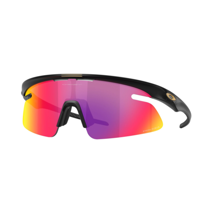 Oakley RSLV Lite Glasögon