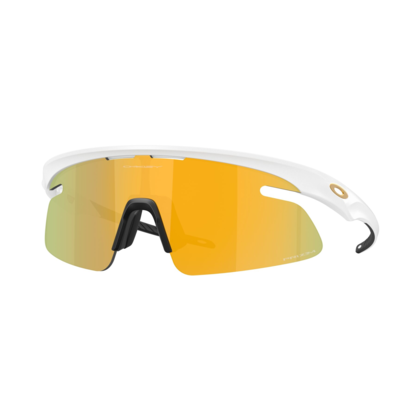 Oakley RSLV Lite Glasögon