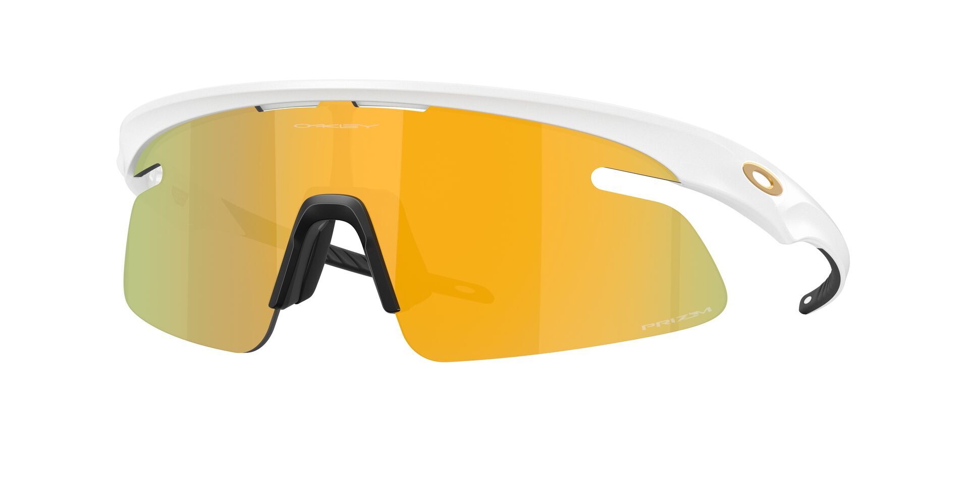 Oakley RSLV Lite Glasögon