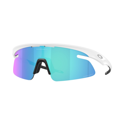 Oakley RSLV Lite Glasögon