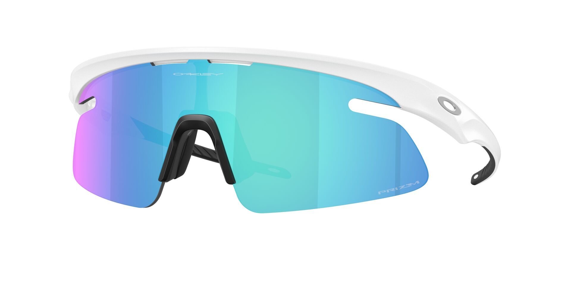 Oakley RSLV Lite Glasögon