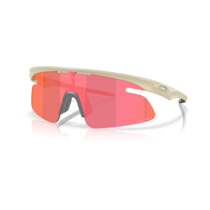 Oakley RSLV Lite Glasögon