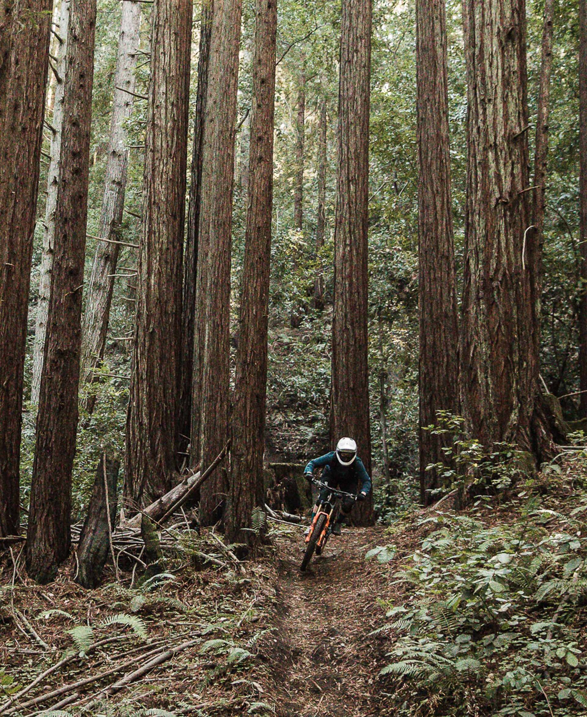 POC Resistance Pro DH Cykelhandskar