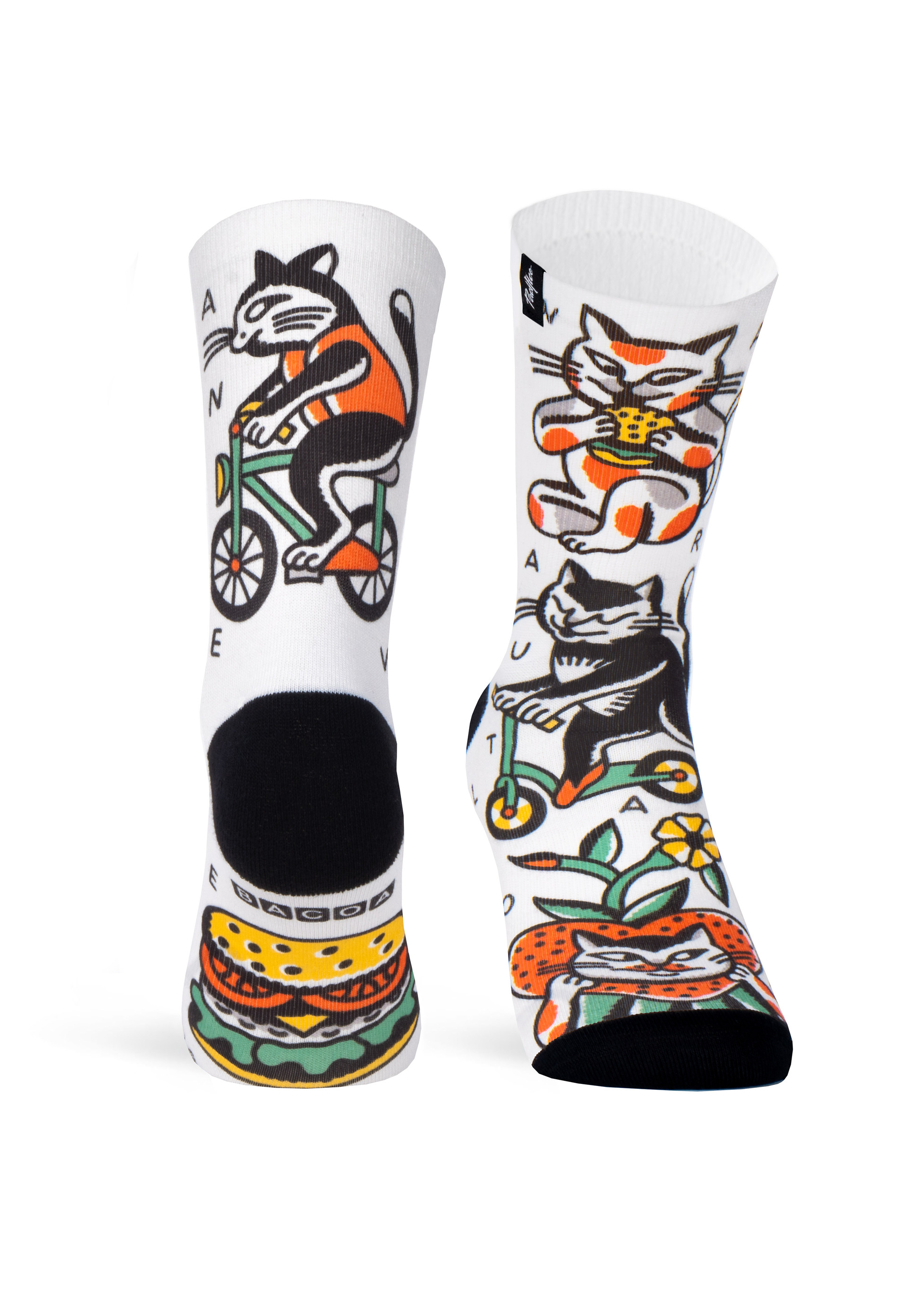 Pacific and Co Bacoa Cats Strumpor