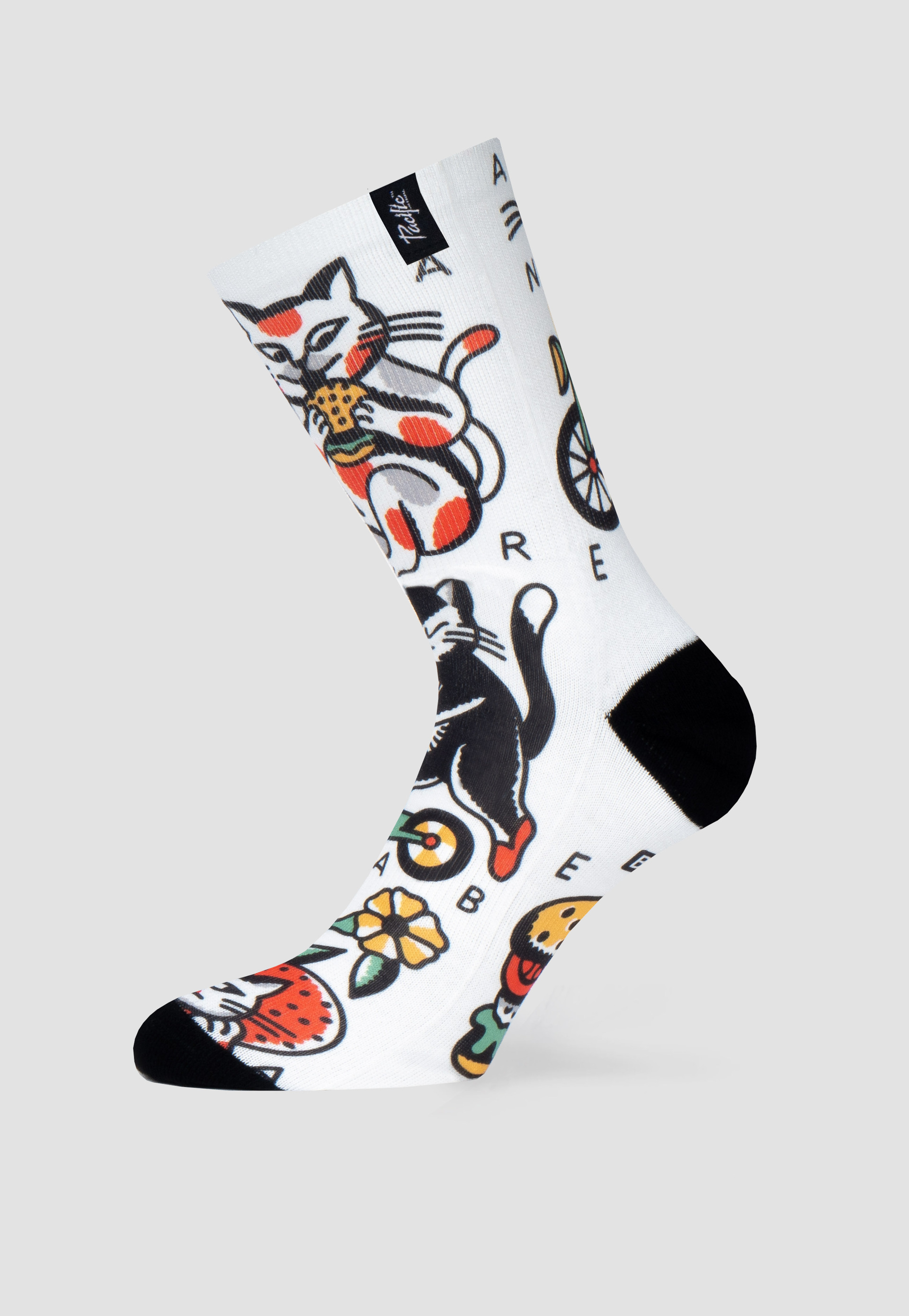 Pacific and Co Bacoa Cats Strumpor