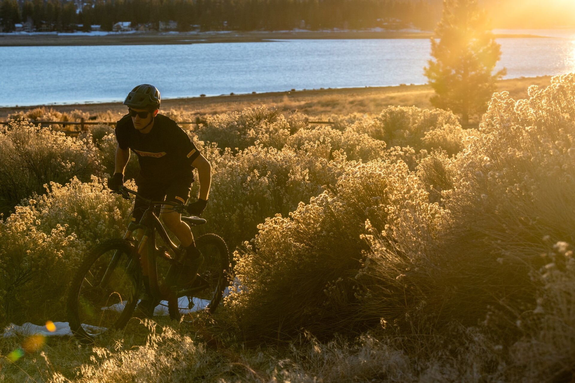 Pirelli Scorpion MTB M Lite Däck