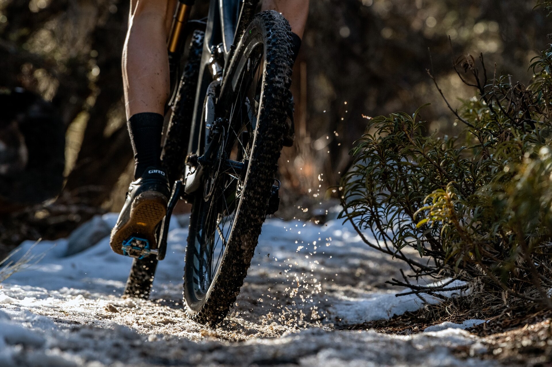 Pirelli Scorpion MTB M Lite Däck