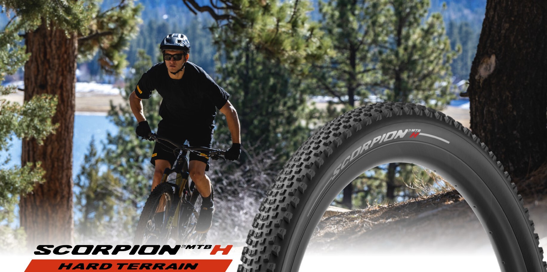 Pirelli Scorpion MTB H Däck