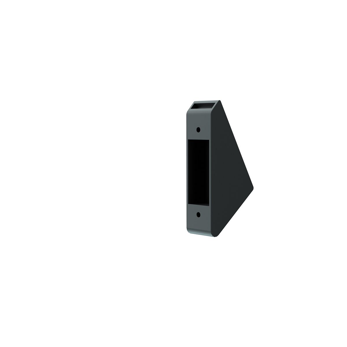 PRO Flaskhållarfeste