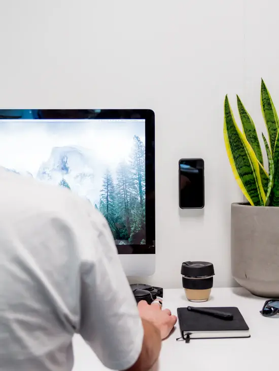 Quad Lock Adhesiv Wall Mount - Twin Pack