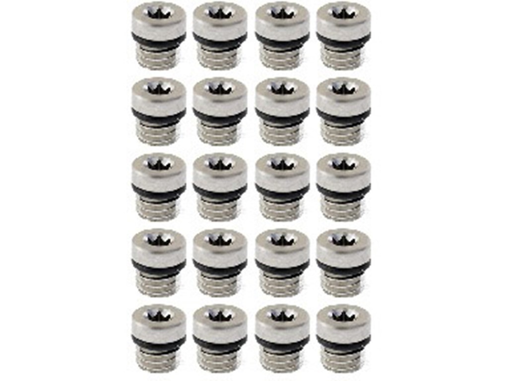 Avid Bleed Screw/O-Ring