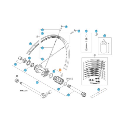 Shimano WH-MT66 Frihjulsbody