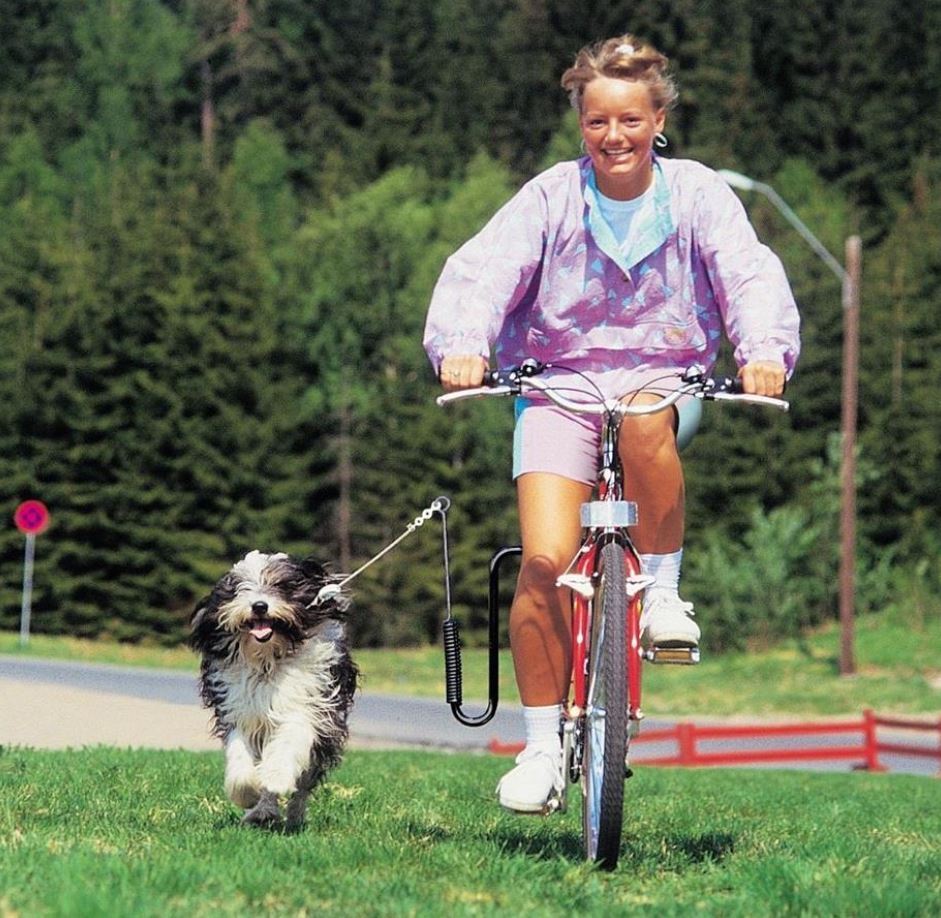 Springer Cykelfäste för Hund