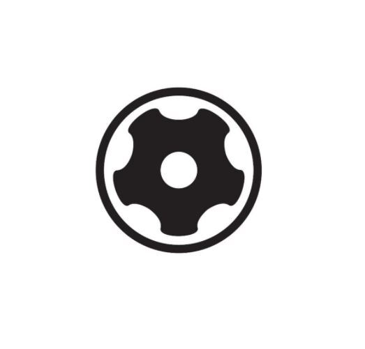 Wiha Torx Plus T25 Bit